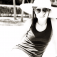 FocusOn Instagramers 1.24: @Nathparis