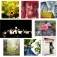 Instagram Users from London Course Hold Exhibition