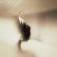 Advanced iPhoneography workshops launched in London