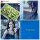 MemoStatigram Your Best Instagram Moment on a Short Video Recap